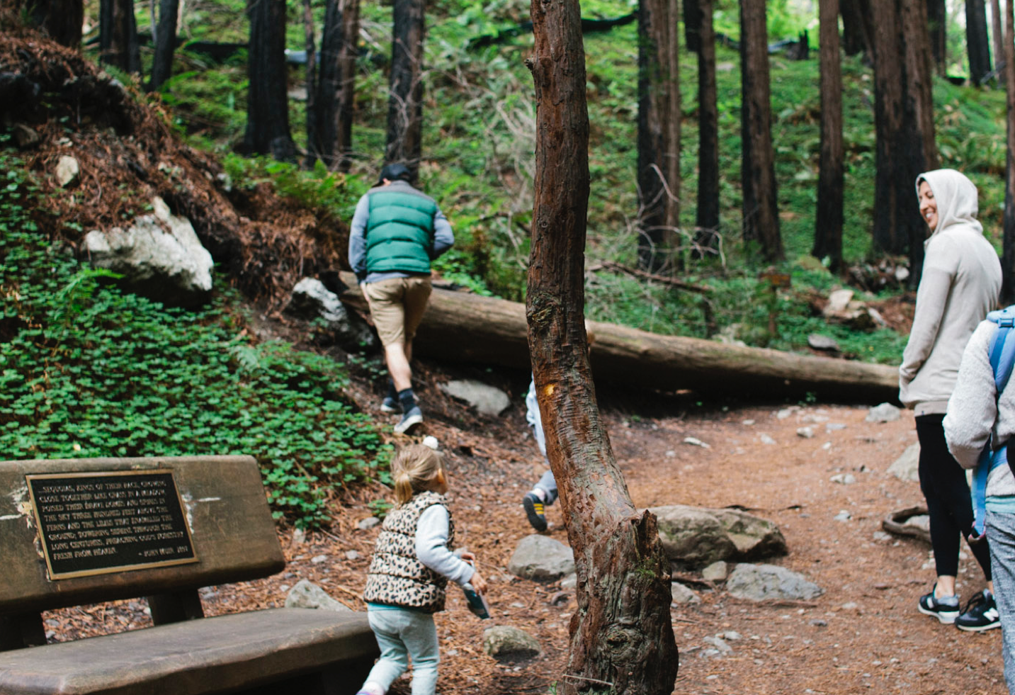 Limekiln Big Sur