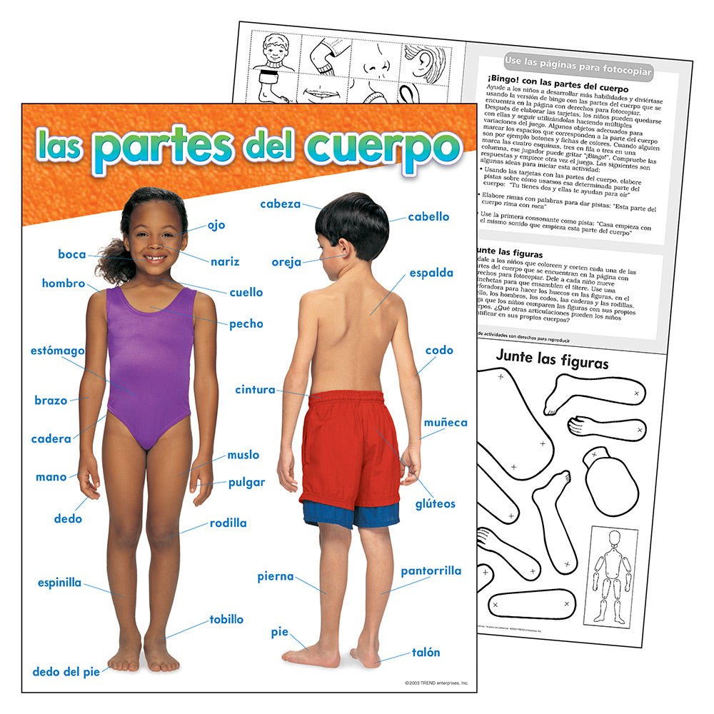 spanish-parts-of-the-body-chart-school-house-gb