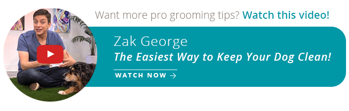 Want more pro grooming tips? Watch this video now!