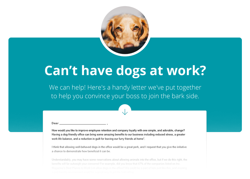 Download the Dog Friendly Office Proposal Letter
