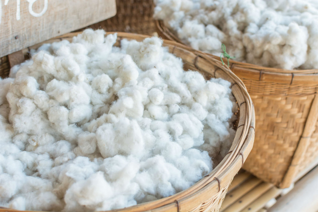 Why I Choose to Use Organic Cotton