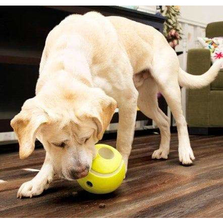 giant tennis ball for dogs