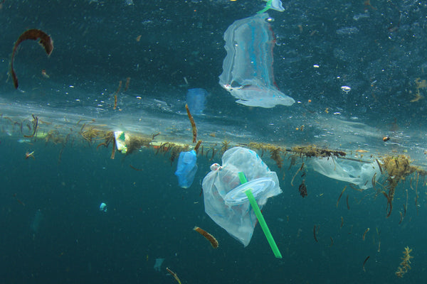 How to reduce plastics in the ocean