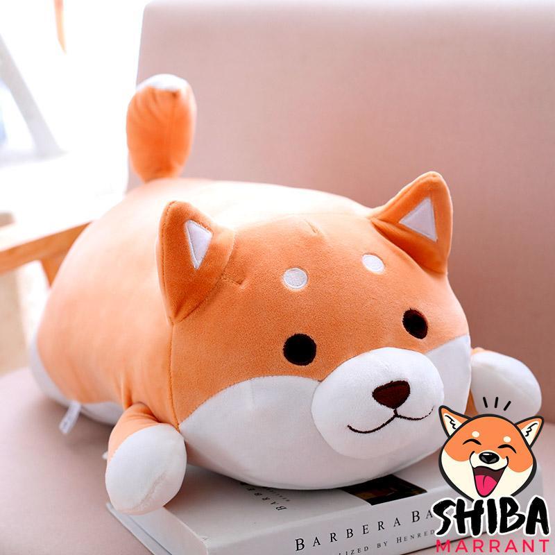 peluche shiba