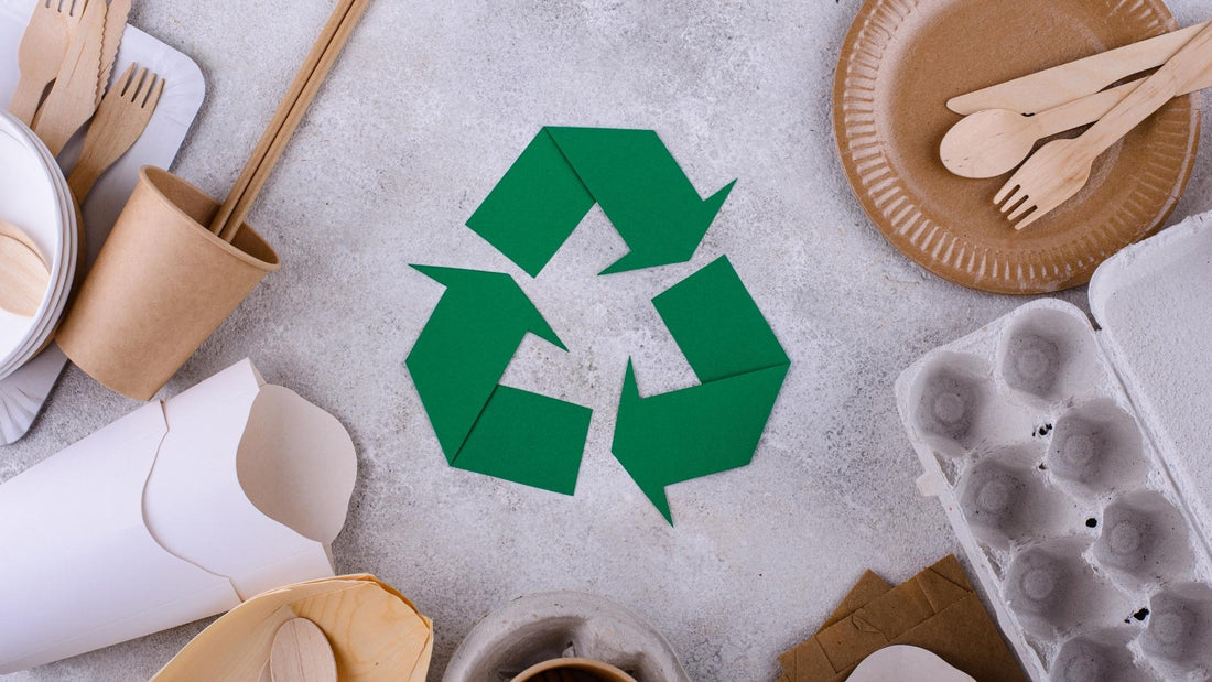 5 Ways to Help Your Business Go Green: It's Easier Than You Think