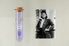 A vial of Henrietta Lacks’s cells, which were used as the basis for treatments for hemophilia, herpes, influenza and leukemia and other illnesses.Creditvia Wellcome Collection; Steven Pocock