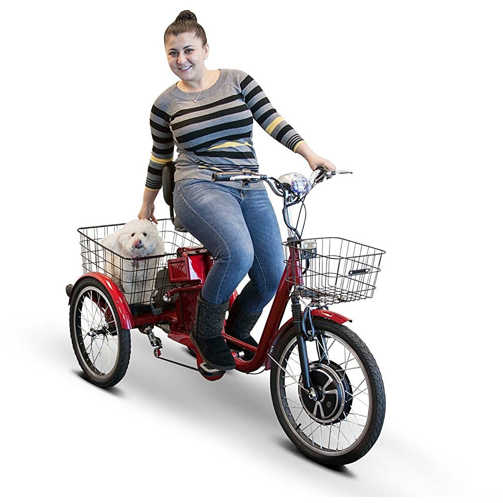 adult tricycle