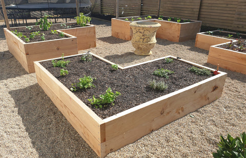 planted vegetable beds on angle