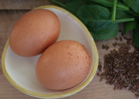 Chicken and Spinach Mutt Muffins Eggs