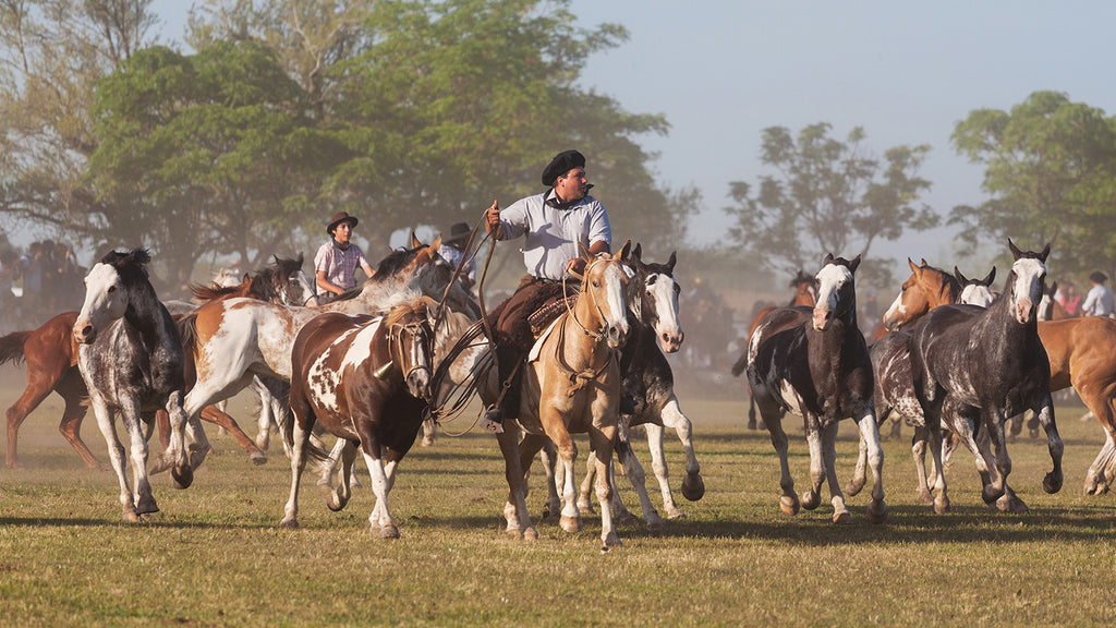 San Antonio de Areco