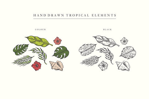 Hand Drawn Tropical Vector Elements by IconsByKassy