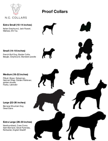 Doodle Size Chart