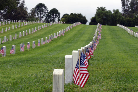 Arlington National Cemetary