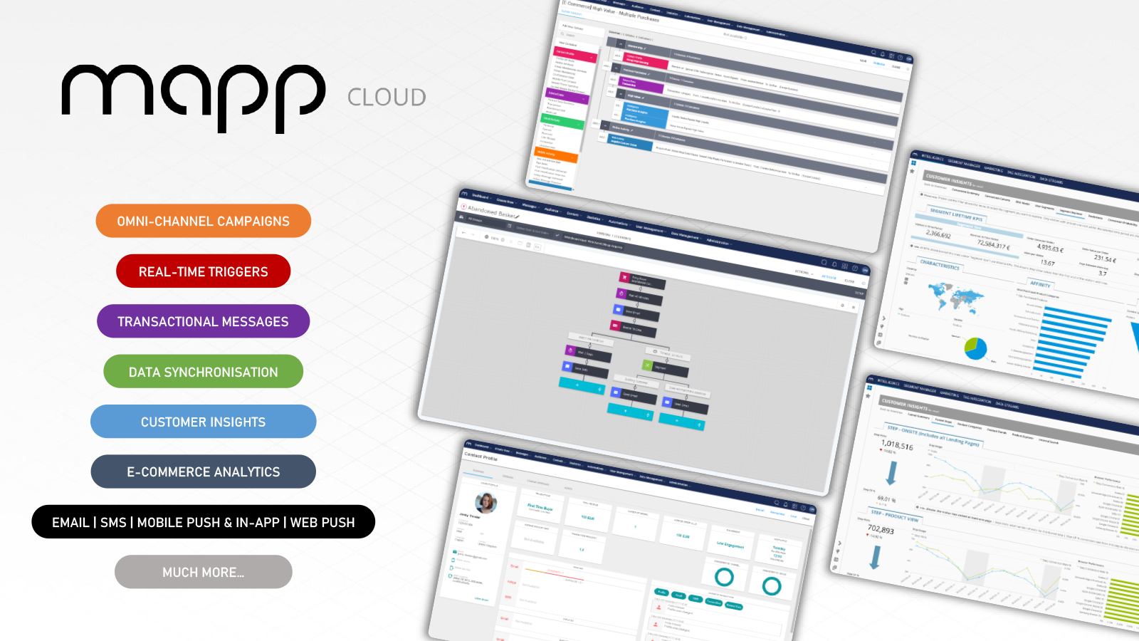 Mapp Cloud Screenshot