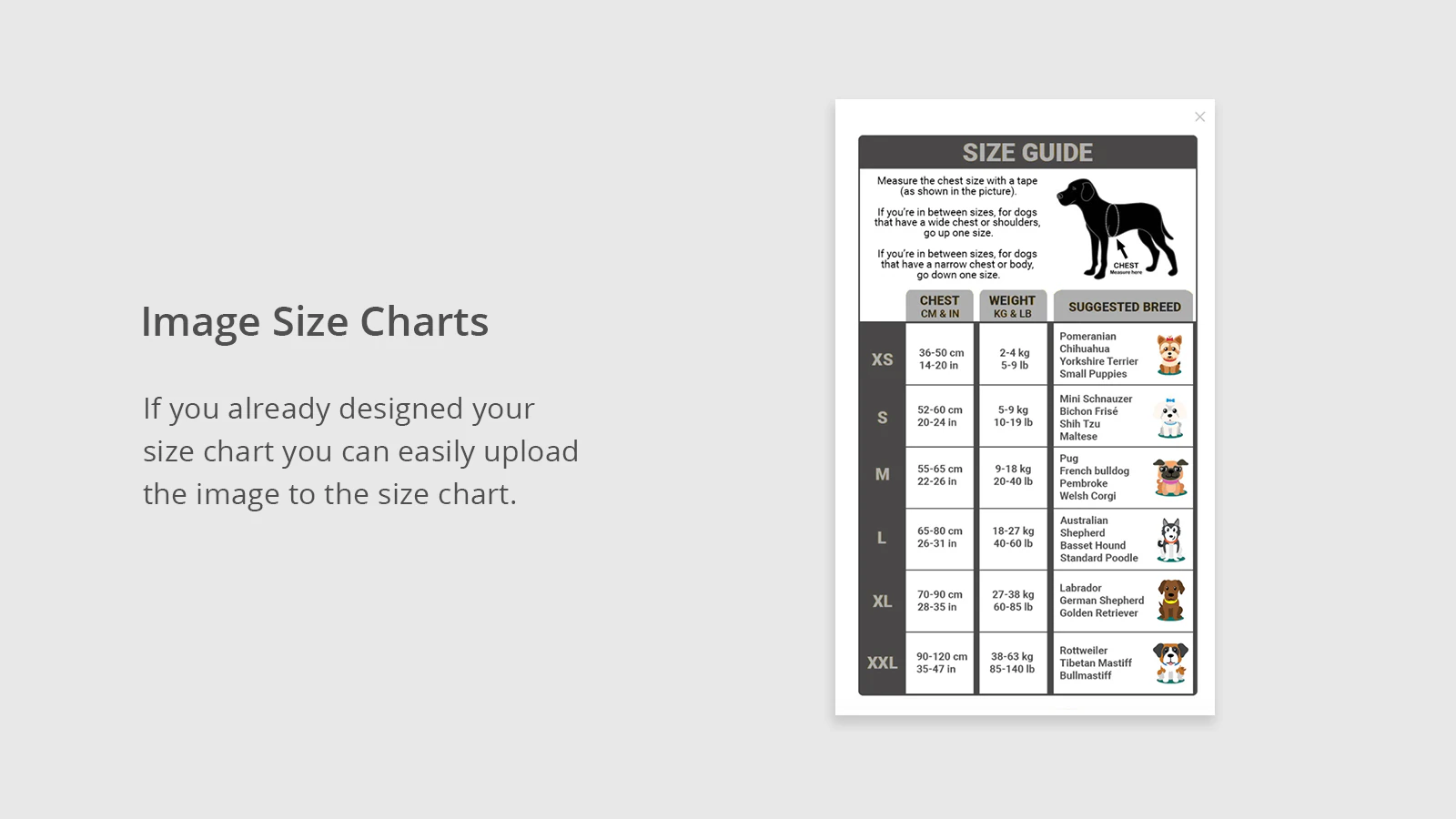 Application de tableau des tailles shopify pour shopify meilleur tableau des tailles , guide des tailles,