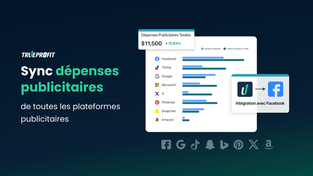 Sync dépenses publicitaires,Facebook,TikTok,Google publicitaires