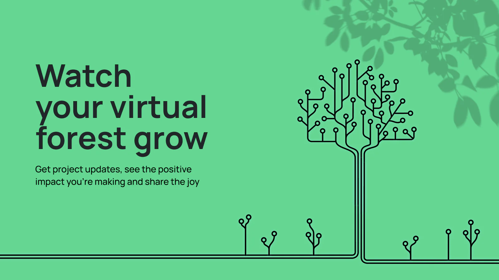 Watch your virtual forest grow