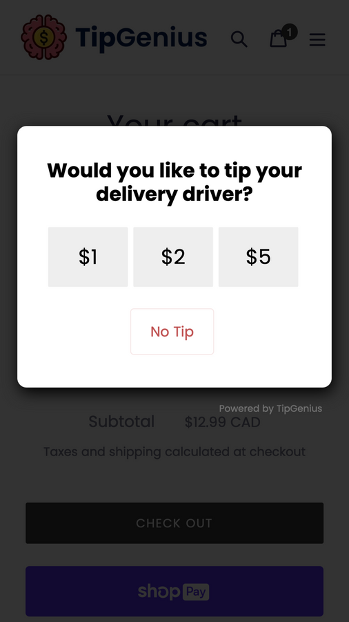 Tip or Donate Pop-up on Shopify Store Checkout