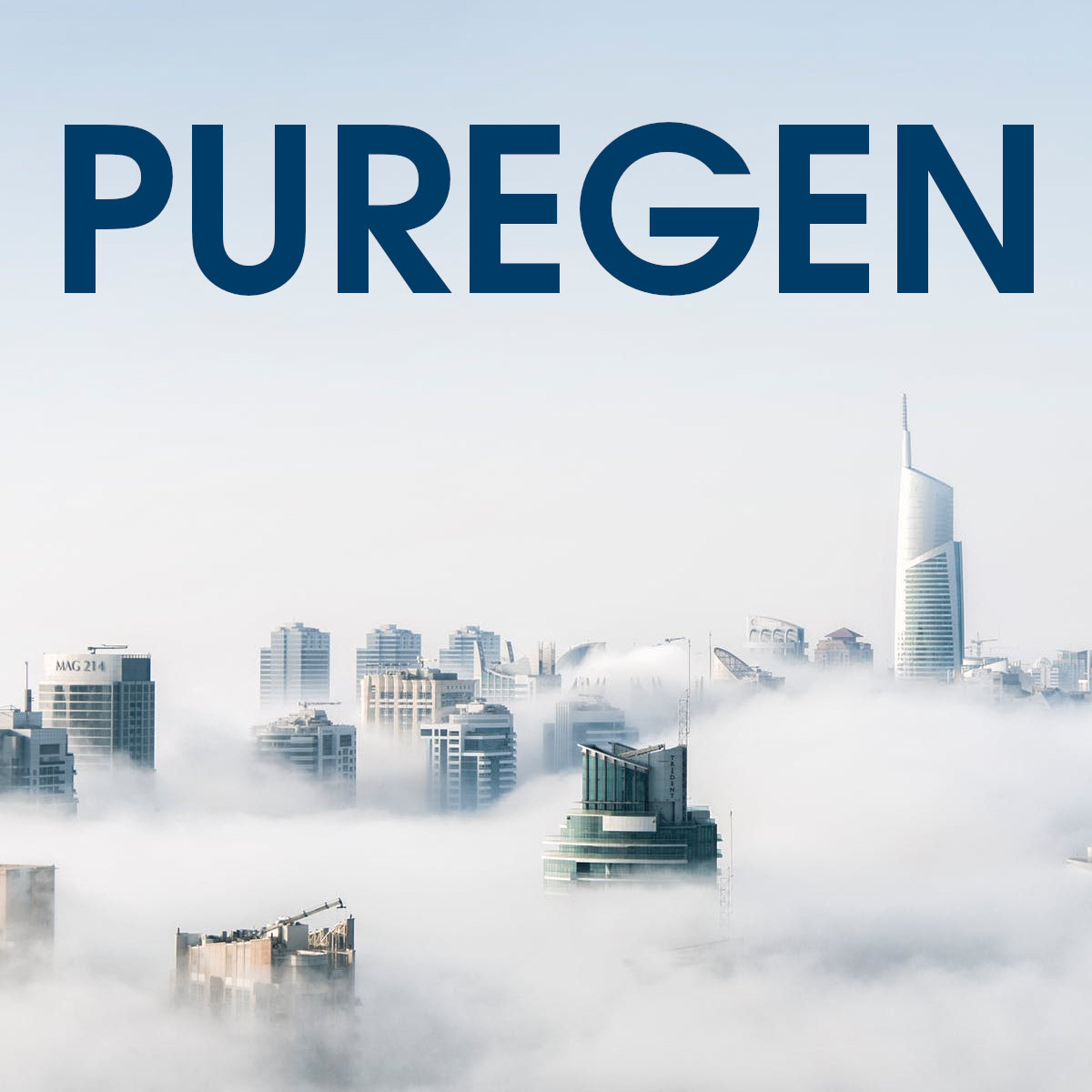 Hire Shopify Experts to integrate Puregen Loyalty app into a Shopify store