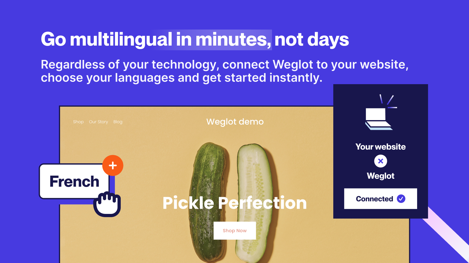 Weglot ‑ Translate Your Store Screenshot