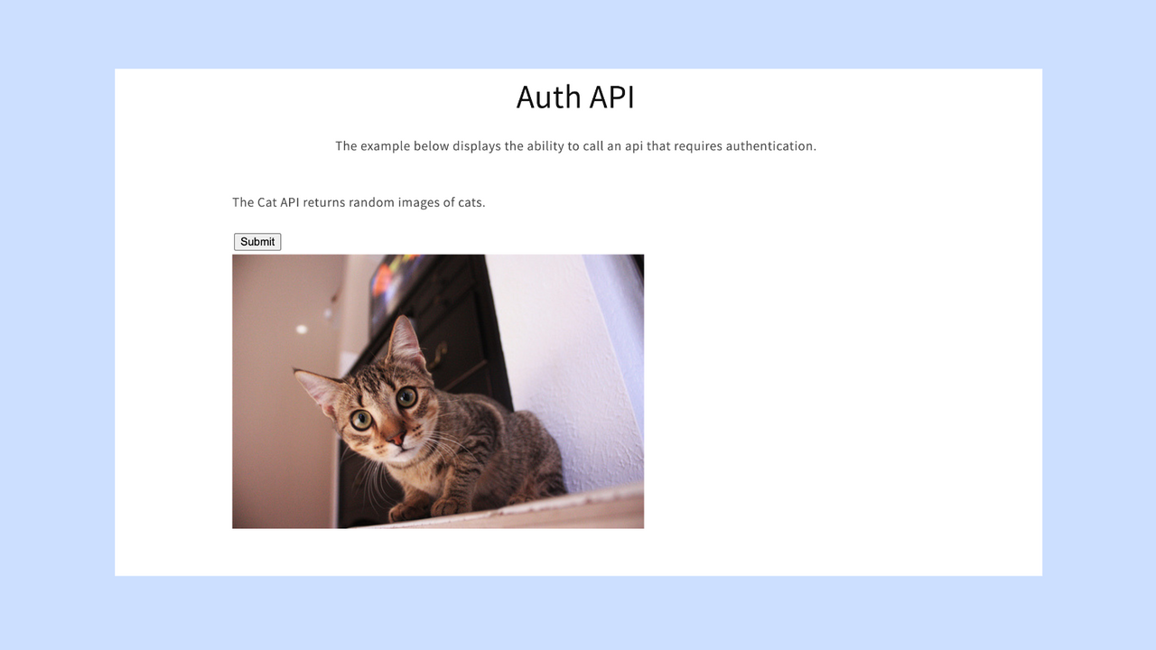 demo auth api