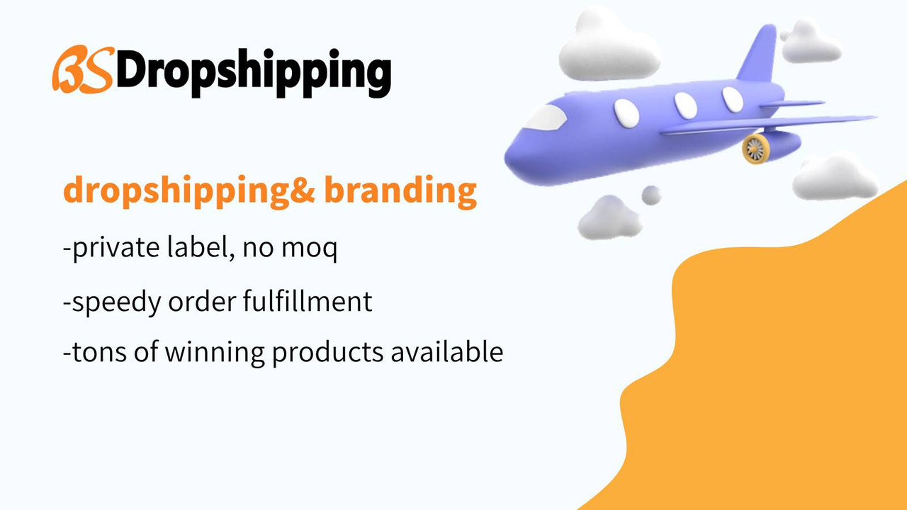 bsdropshipping