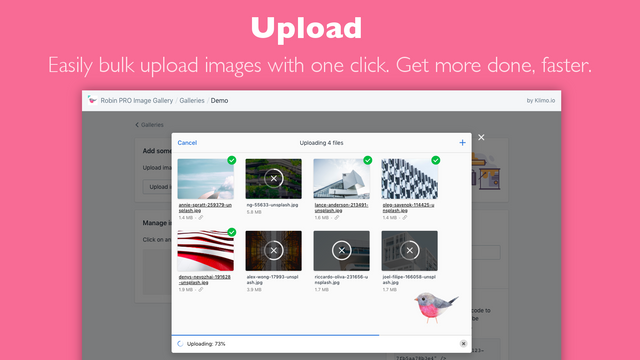 Bulk upload dine fotogalleri billeder med et klik