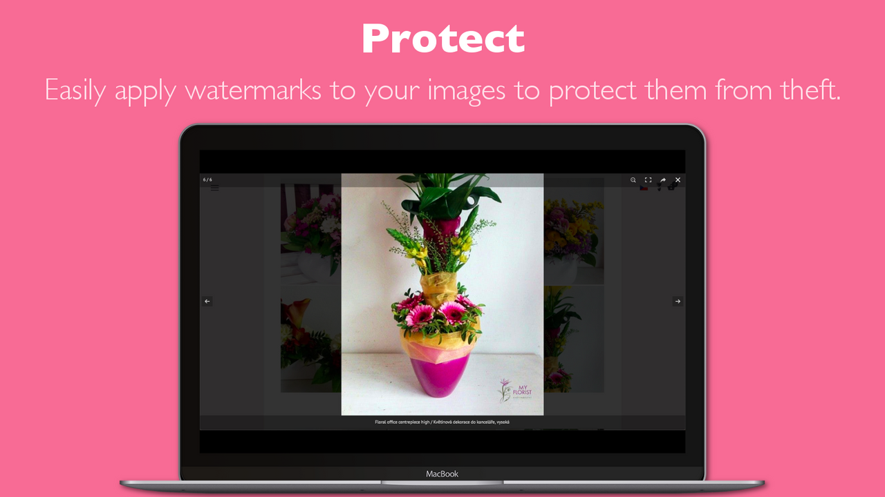 Aplica marcas de agua a las imágenes de tu galería de fotos para protegerlas.
