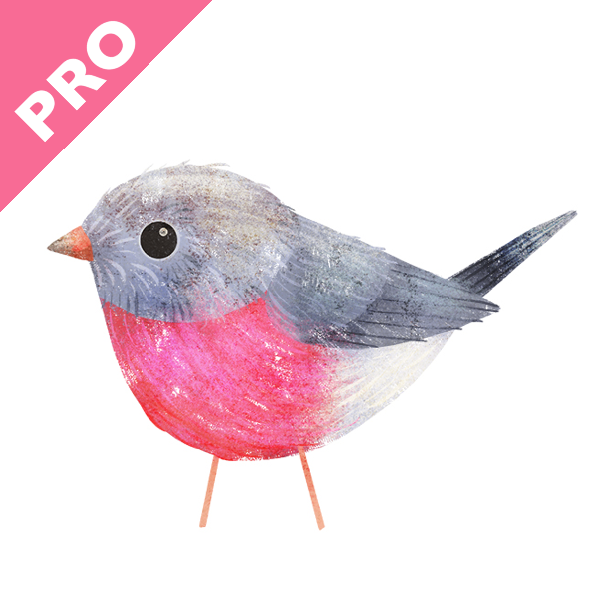 Photo Gallery | Robin PRO icon