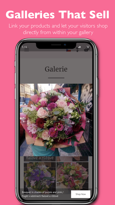 Galleries that sell - easily shop inside galleries