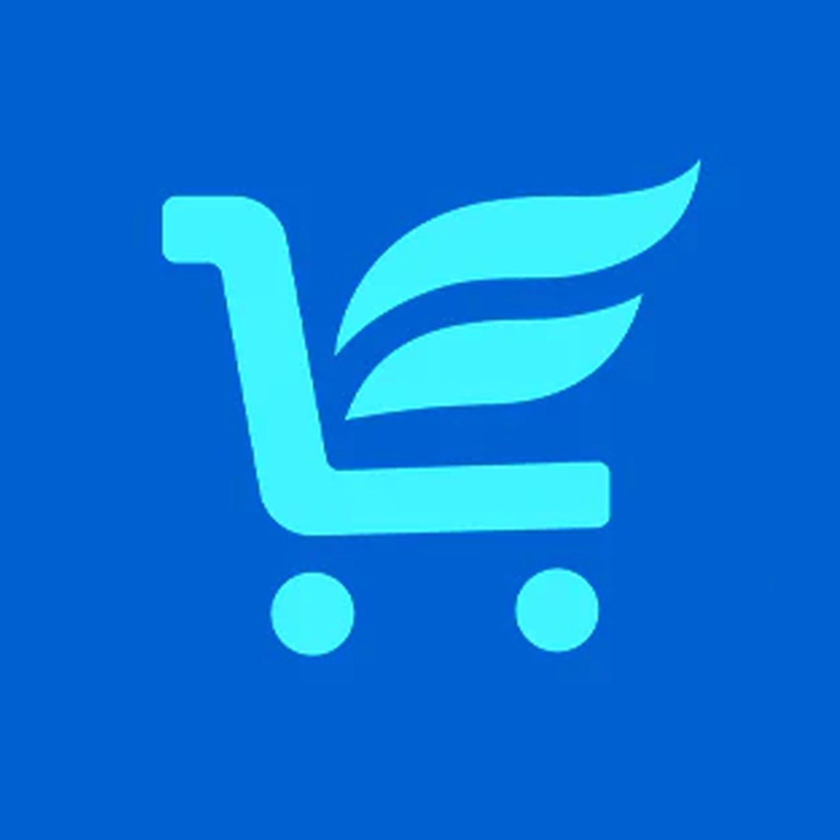 Shopflyer Attribution & Pixel