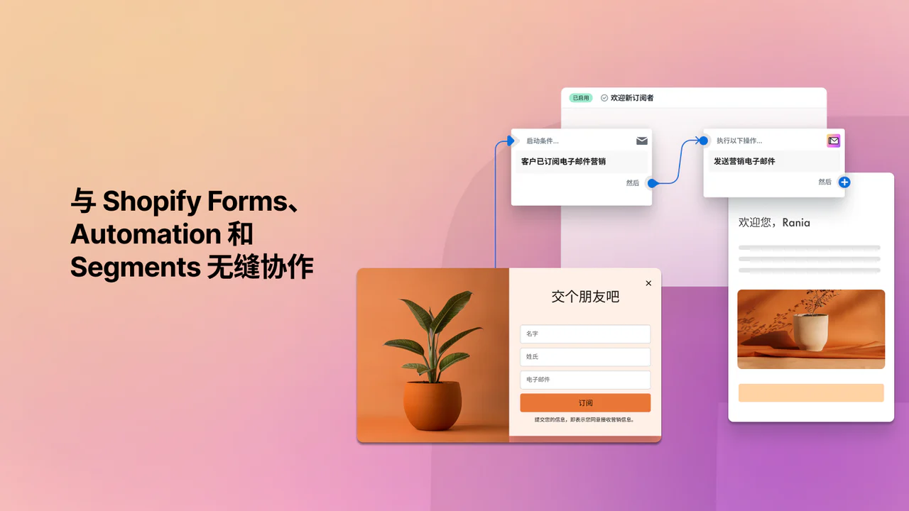 与 Shopify Forms、Automation 和 Segments 无缝协作