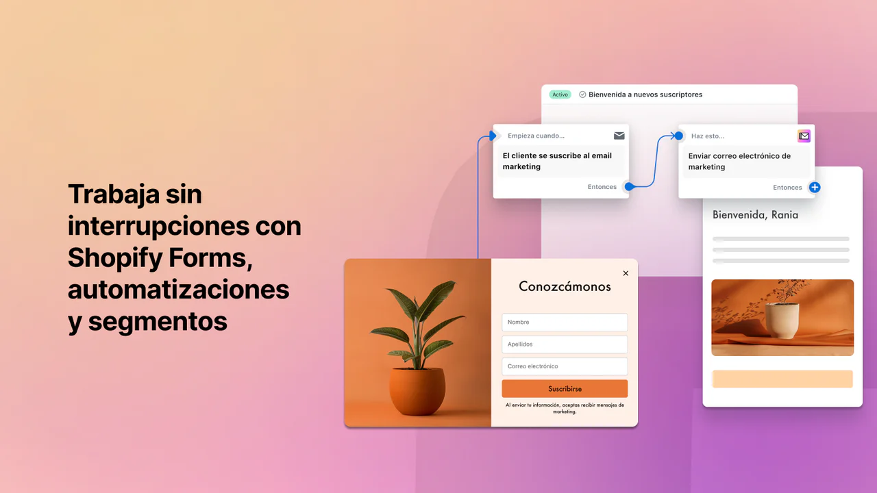 Automatizaciones para su marketing por correo electrónico