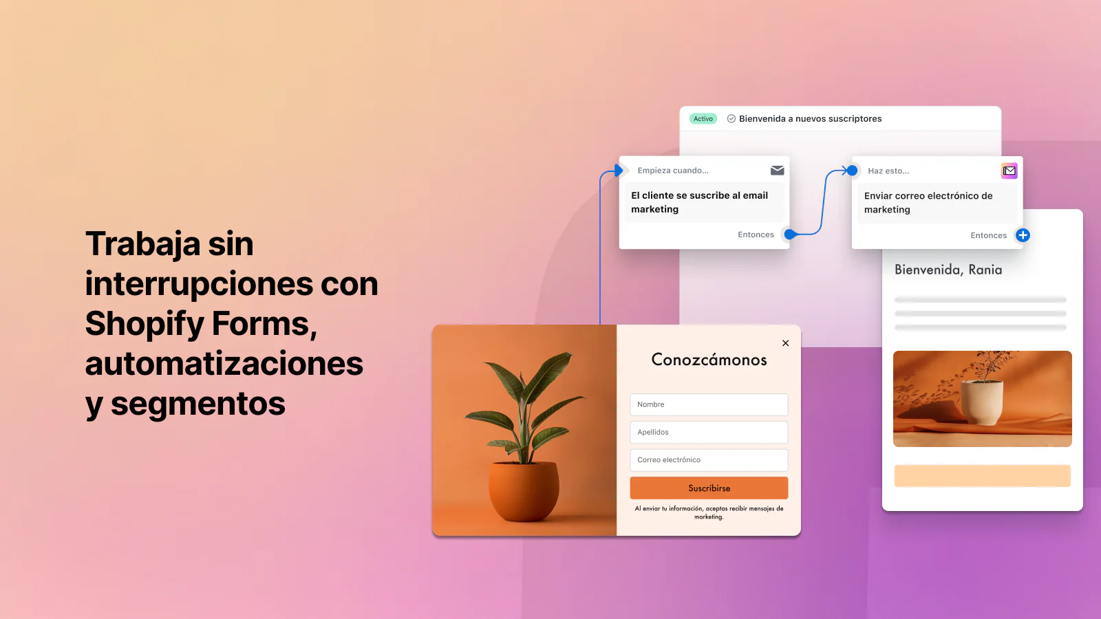 Automatizaciones para su marketing por correo electrónico