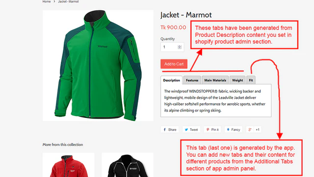 Product description tabs in product details page