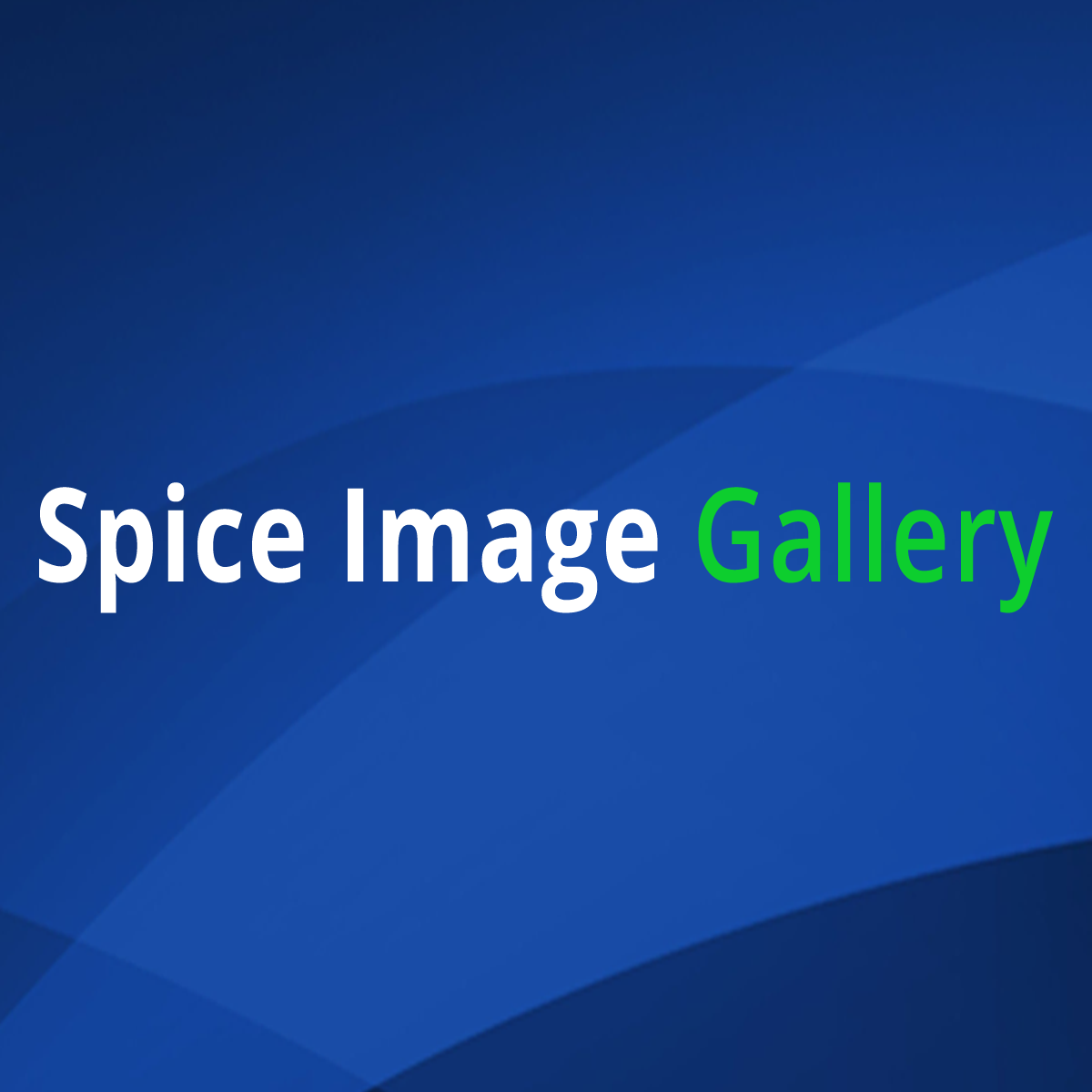 Hire Shopify Experts to integrate Spice Image Gallery app into a Shopify store