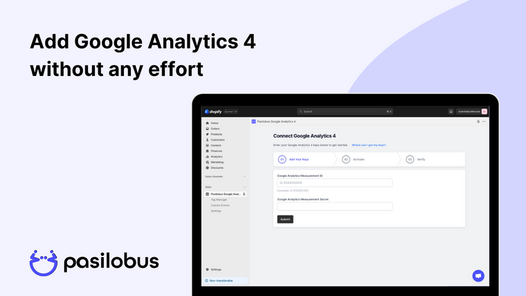 Google Analytics ‑ Pasilobus Screenshot