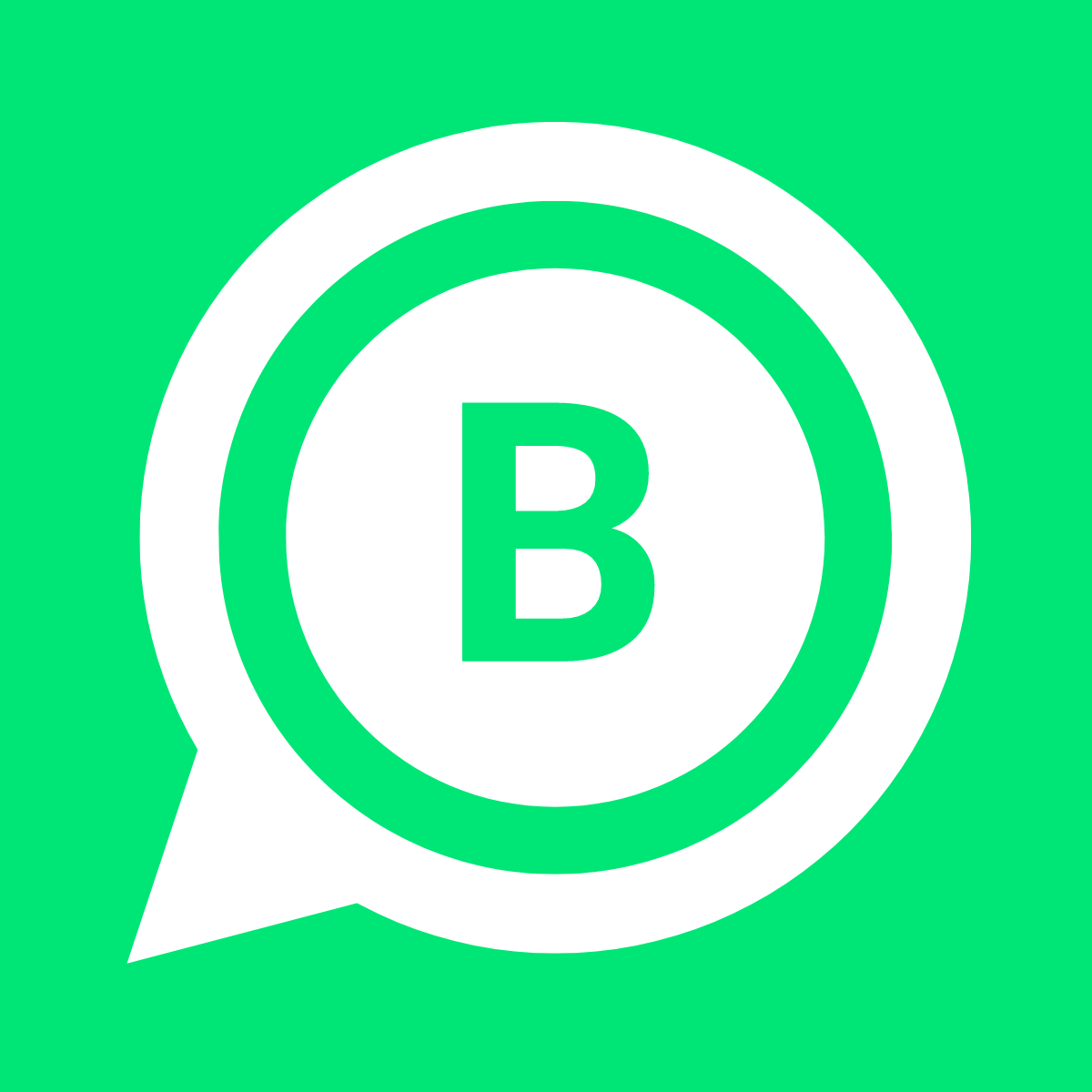 Bizify ‑ WhatsApp chat for Shopify