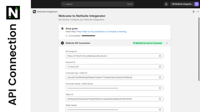 NetSuite API-verbinding