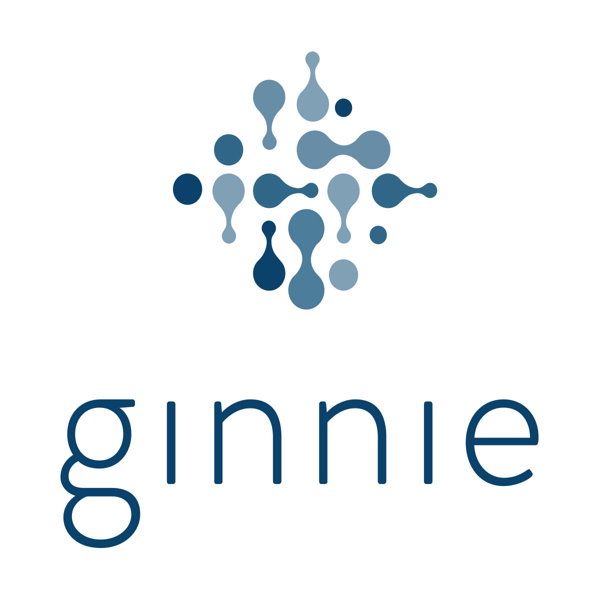 Hire Shopify Experts to integrate ginnie app into a Shopify store