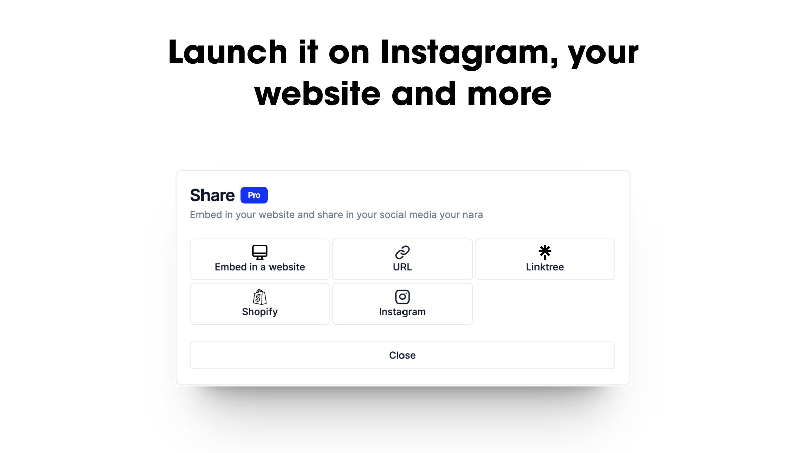 Launch on multiple platforms: Instagram, website, and more