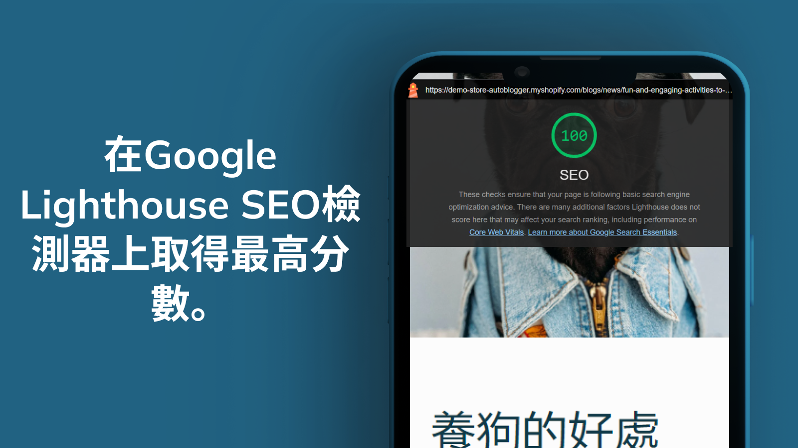 自動博客的頂級 Google SEO 分數