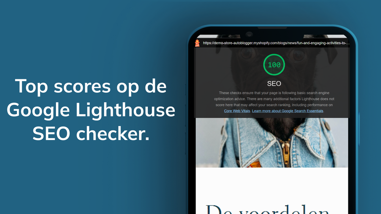 Topbeoordeling Google SEO-scores voor automatische blogs