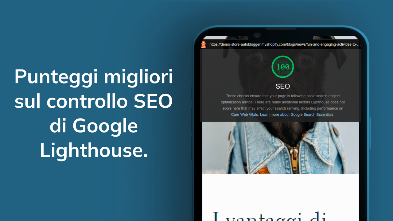 Punteggi SEO di alto livello su Google per i blog automatici.