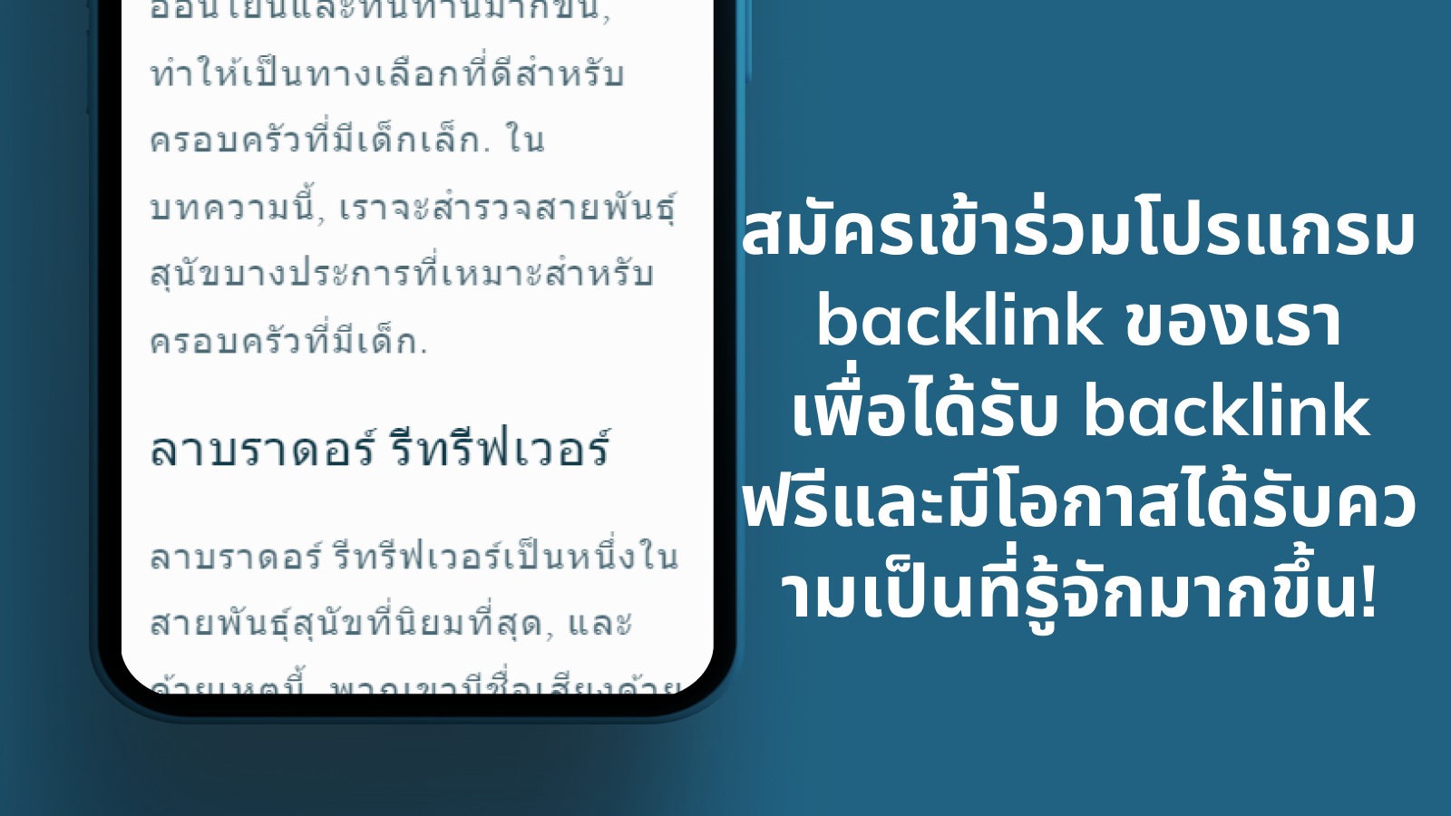 เข้าร่วมโปรแกรม backlink เพื่อมีโอกาสเผยแพร่มากขึ้น