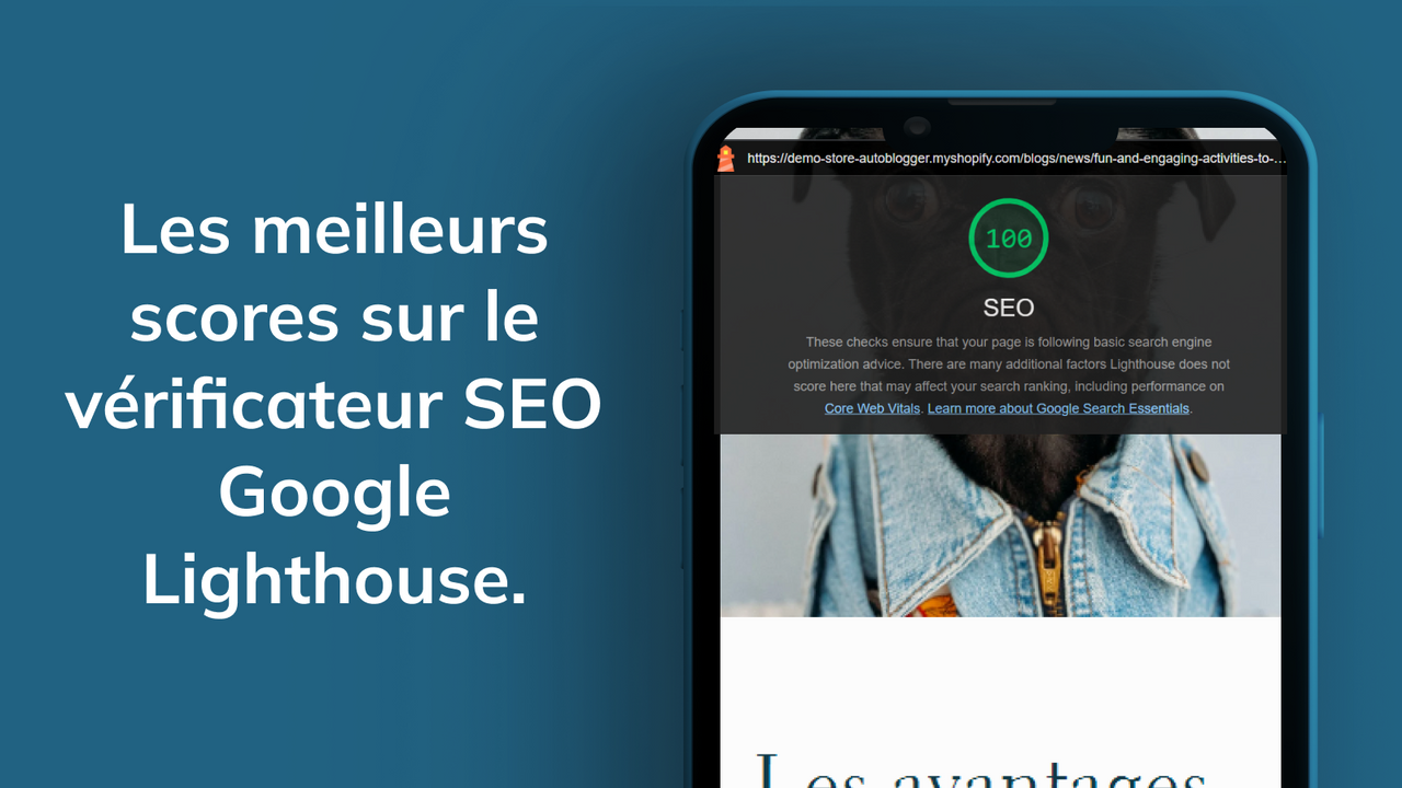 Meilleurs scores SEO Google pour les blogs automatiques