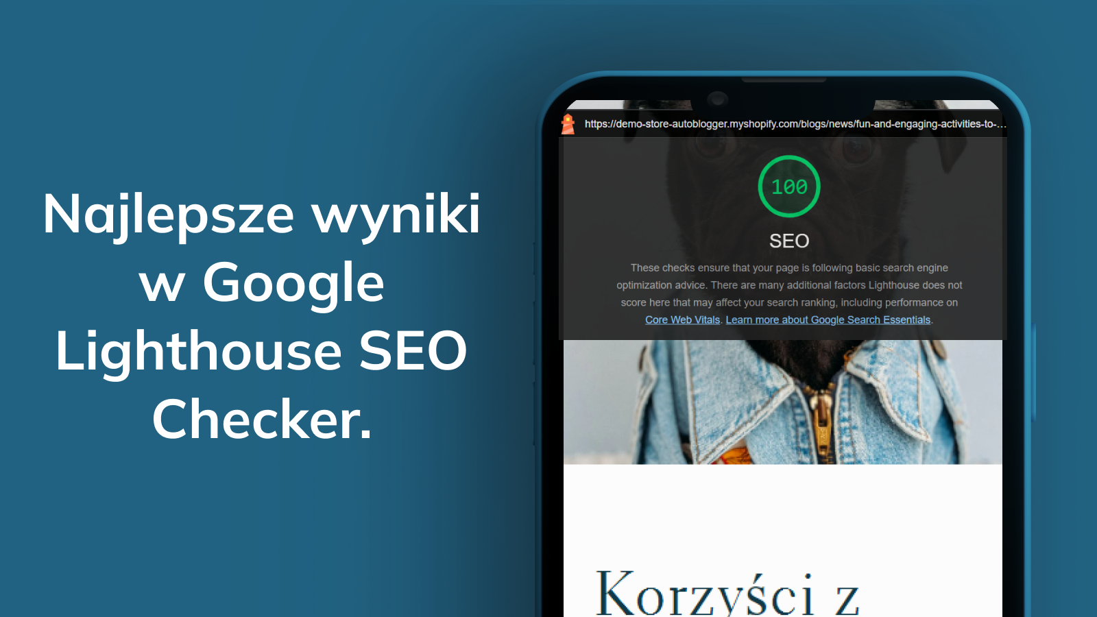 Najwyższe oceny Google SEO dla automatycznych blogów