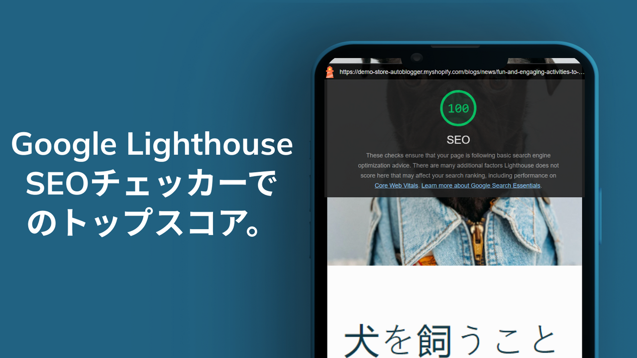 自動ブログの優れたGoogle SEOスコア