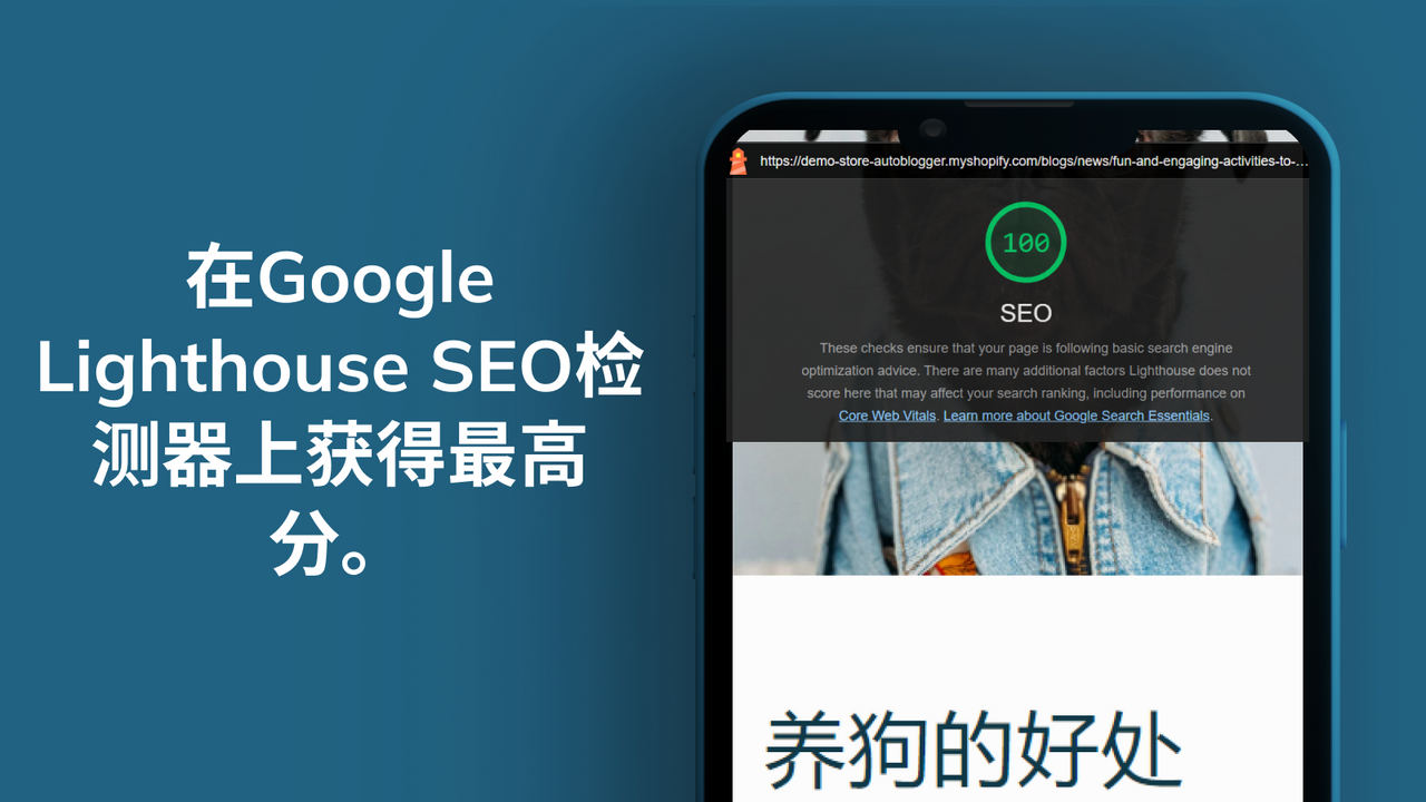 autoBlogs取得了顶级的Google SEO分数。