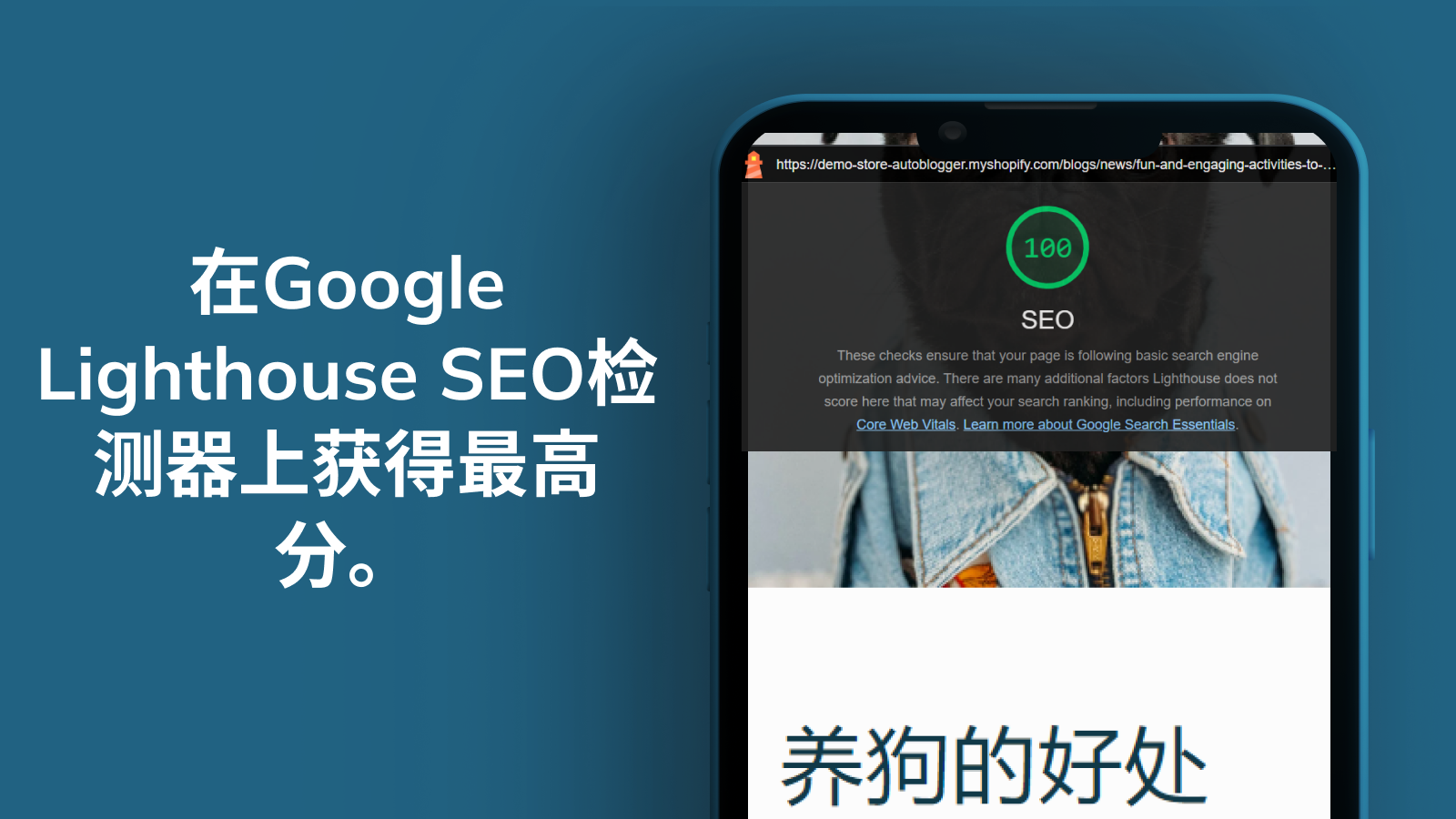 autoBlogs取得了顶级的Google SEO分数。